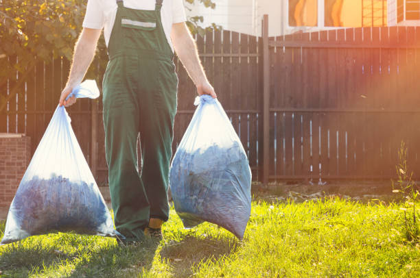 Best Attic Cleanout  in Chula Vista, TX